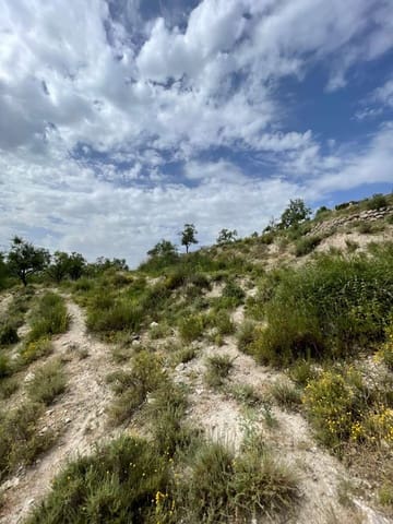 Building Plot for sale in Vélez-Blanco - € 15,000 (Ref: 9146956)