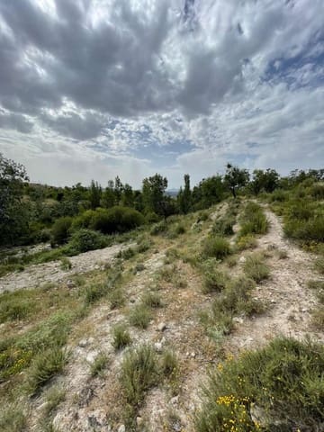 Building Plot for sale in Vélez-Blanco - € 15,000 (Ref: 9146956)