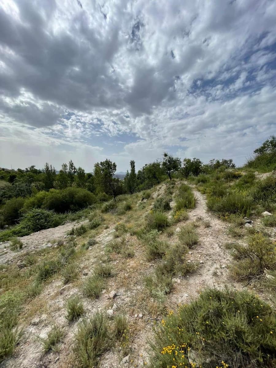 Byggegrund til salg i Velez-Blanco - € 15.000 (Ref: 9146956)