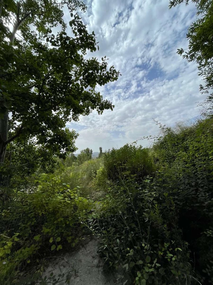 Byggegrund til salg i Velez-Blanco - € 15.000 (Ref: 9146956)