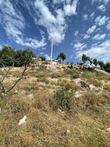 Building Plot for sale in Vélez-Blanco - € 15,000 (Ref: 9146956)