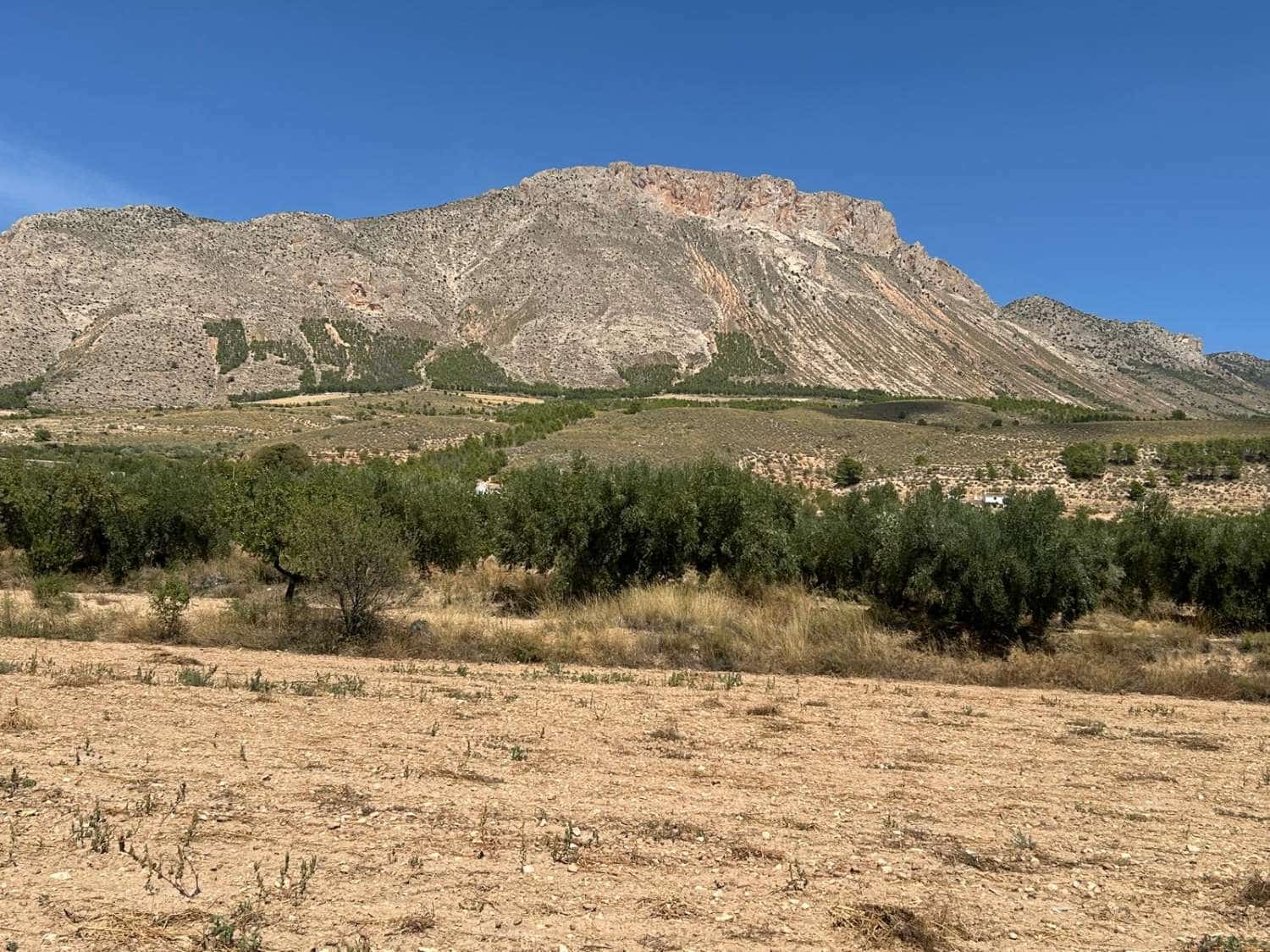 3 slaapkamer Villa te koop in Velez-Blanco met zwembad - € 265.000 (Ref: 9219850)