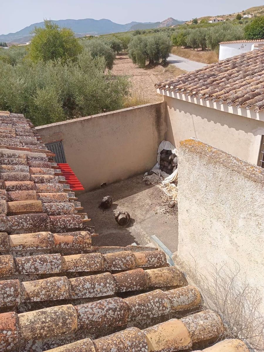 7 soverom Hus til salgs i Velez-Blanco med svømmebasseng - € 395 000 (Ref: 9303273)