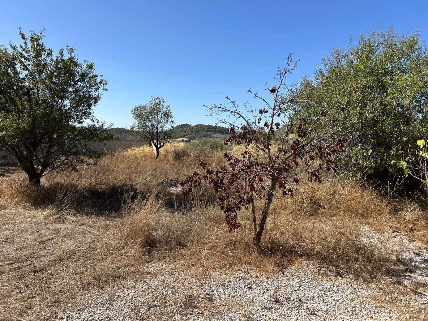 3 slaapkamer Villa te koop in Oria met zwembad - € 220.000 (Ref: 9330361)