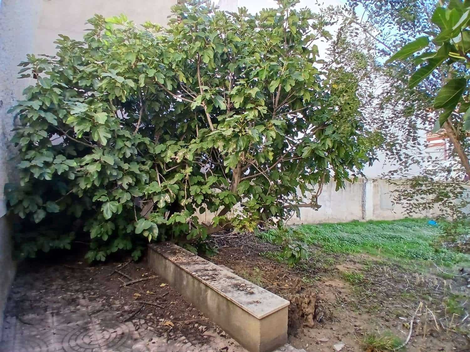 3 sovrum Hus till salu i Velez-Rubio - 93 650 € (Ref: 9356723)