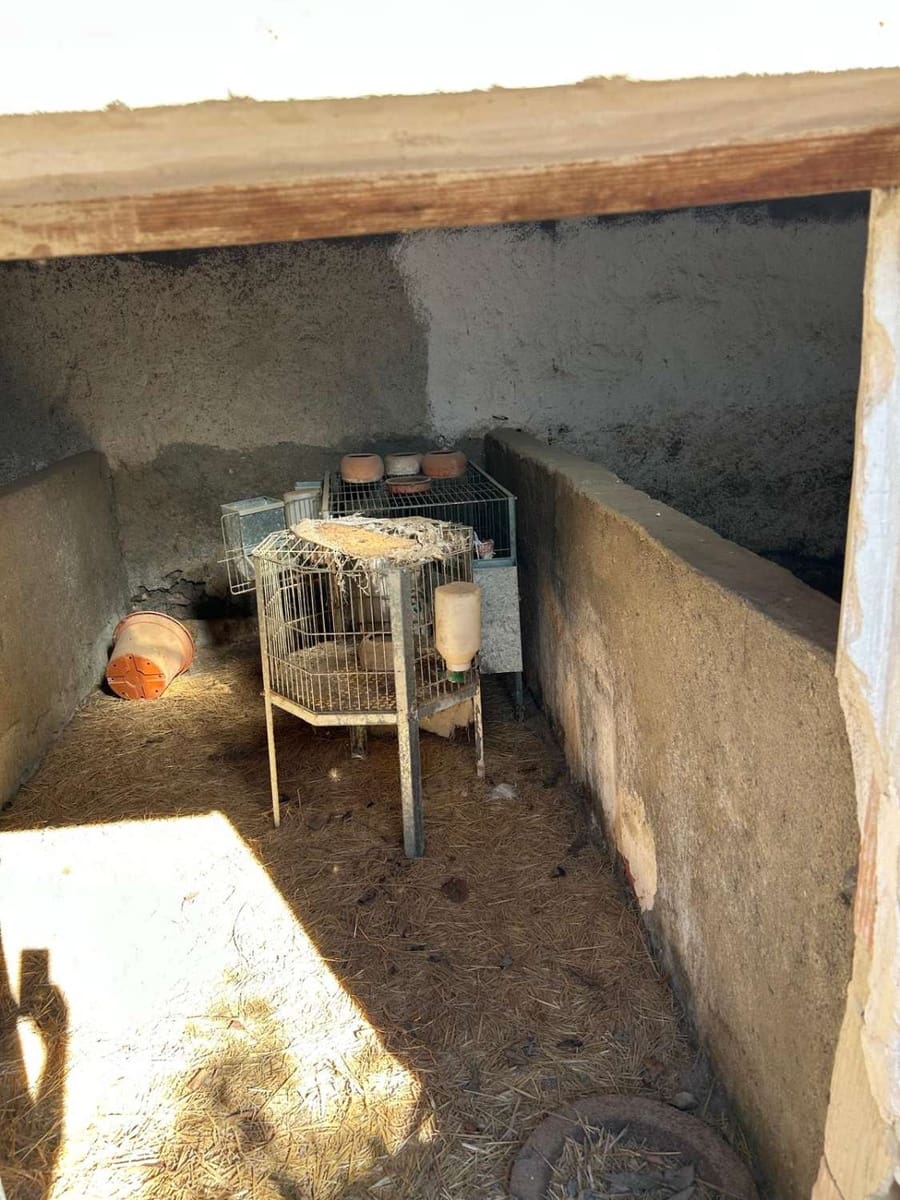 Casa de 5 habitaciones en Chirivel en venta - 145.550 € (Ref: 9356724)