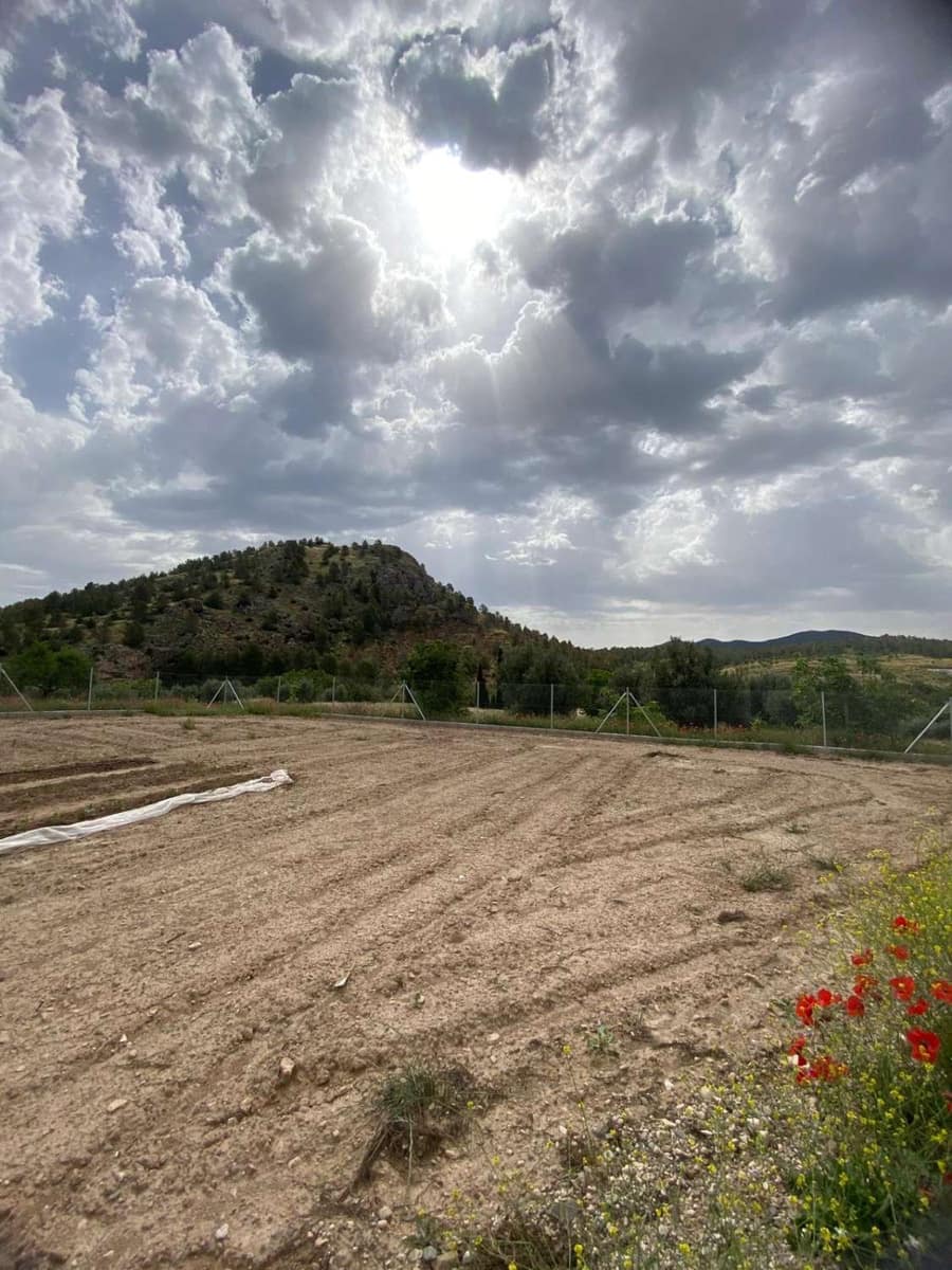 Bouwgrond te koop in Velez-Blanco - € 24.000 (Ref: 9356726)