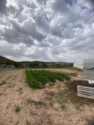 Building Plot for sale in Vélez-Blanco - € 24,000 (Ref: 9356726)