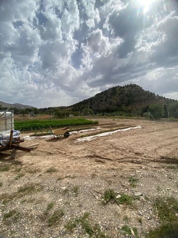 Building Plot for sale in Vélez-Blanco - € 24,000 (Ref: 9356726)