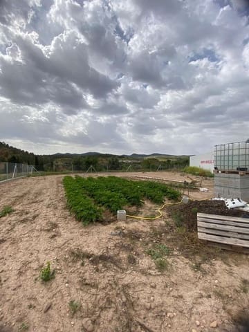 Building Plot for sale in Vélez-Blanco - € 24,000 (Ref: 9356726)