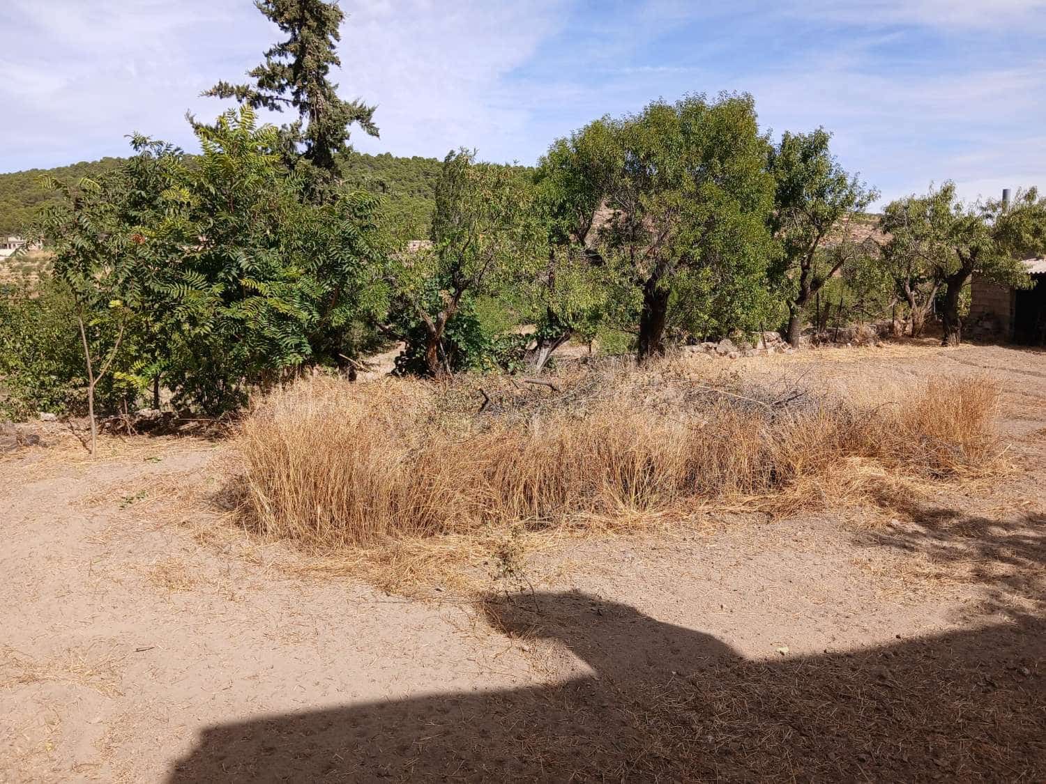 7 chambre Maison de Ville à vendre à Maria - 140 000 € (Ref: 9356728)