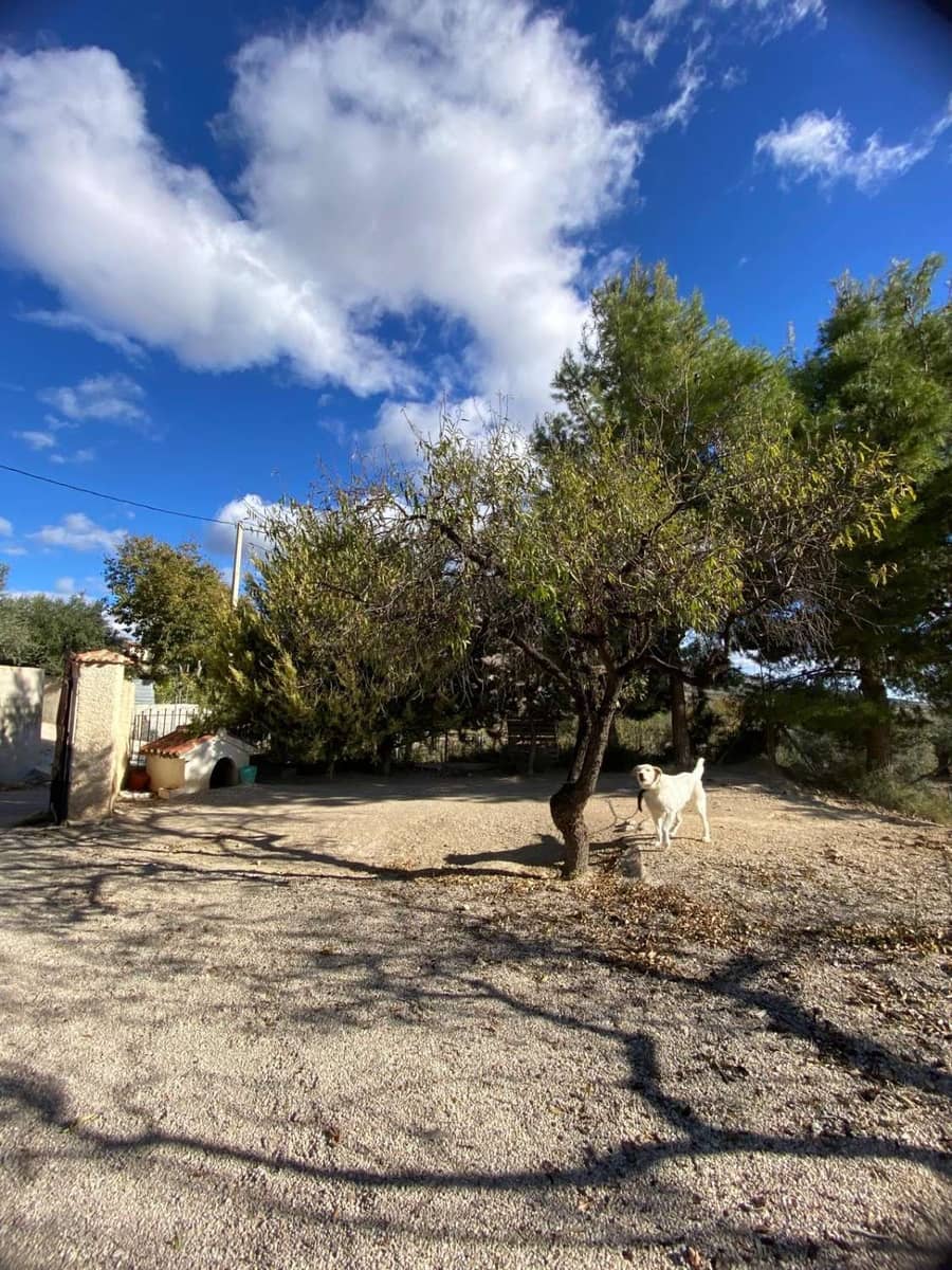 3 soverom Hus til salgs i Velez-Blanco med svømmebasseng - € 155 000 (Ref: 9413832)