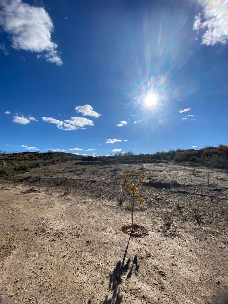 3 soverom Villa til salgs i Freila med svømmebasseng - € 184 995 (Ref: 9413833)