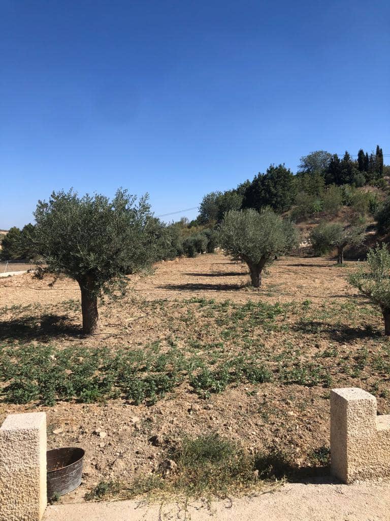 1 bedroom Villa for sale in Velez-Blanco - € 153,600 (Ref: 9585485)