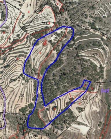 1 bedroom Finca/Country House for sale in María - € 40,000 (Ref: 9711133)