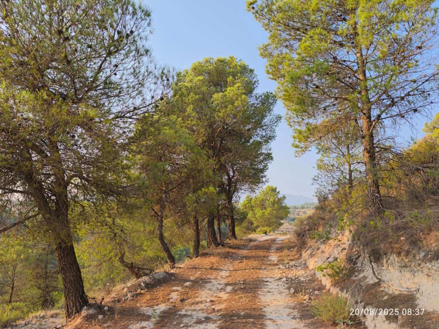 Finca/Landgut zu verkaufen in Maria - 40.000 € (Ref: 9711133)