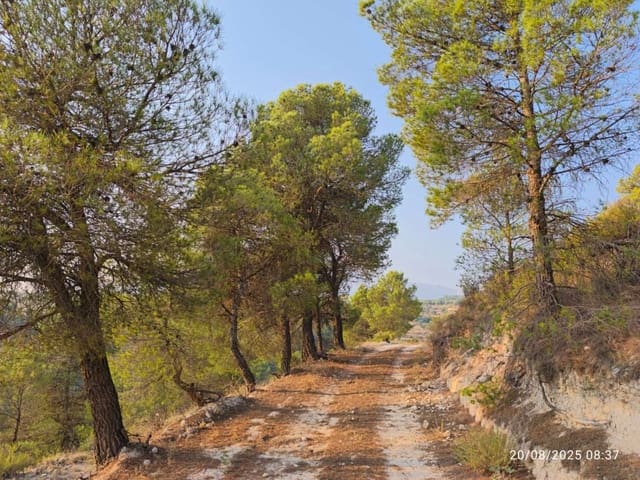 1 bedroom Finca/Country House for sale in María - € 40,000 (Ref: 9711133)