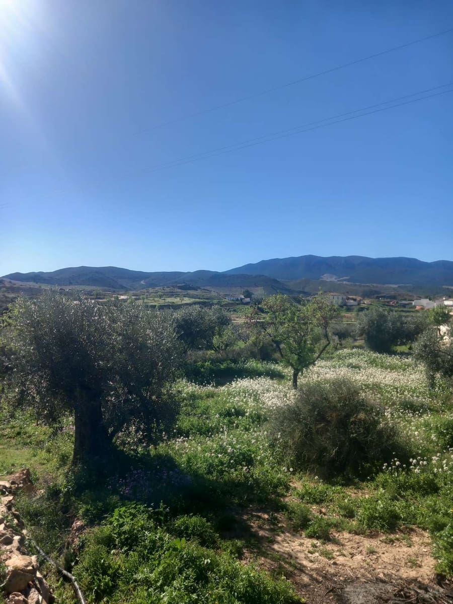 1 camera da letto Casa in vendita in Velez-Rubio - 72.000 € (Rif: 9735229)