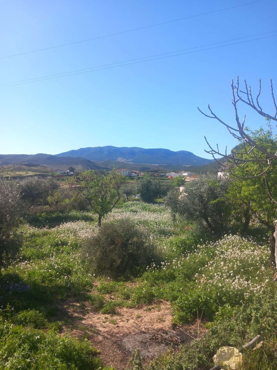 1 camera da letto Casa in vendita in Velez-Rubio - 72.000 € (Rif: 9735229)