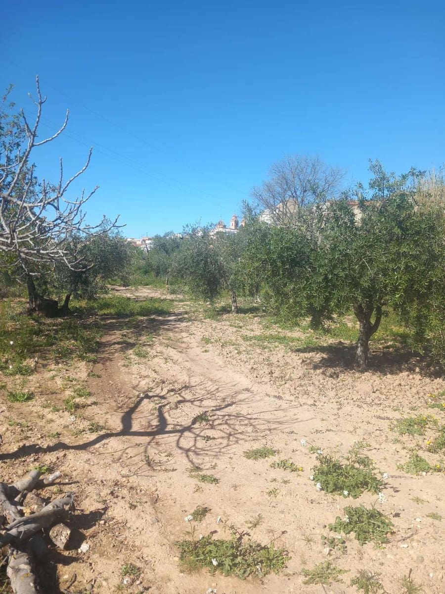 1 camera da letto Casa in vendita in Velez-Rubio - 72.000 € (Rif: 9735229)