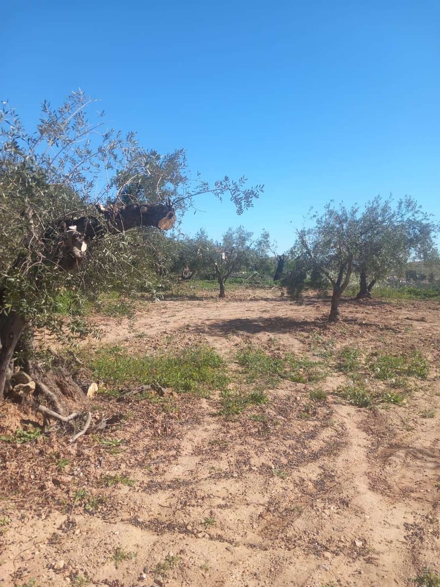 1 camera da letto Casa in vendita in Velez-Rubio - 72.000 € (Rif: 9735229)