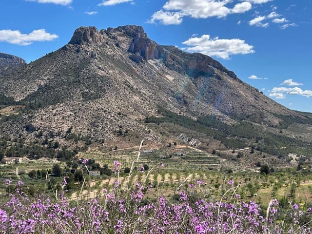 4 sovrum Villa till salu i Vélez-Blanco - 199 950 € (Ref: 9798752)