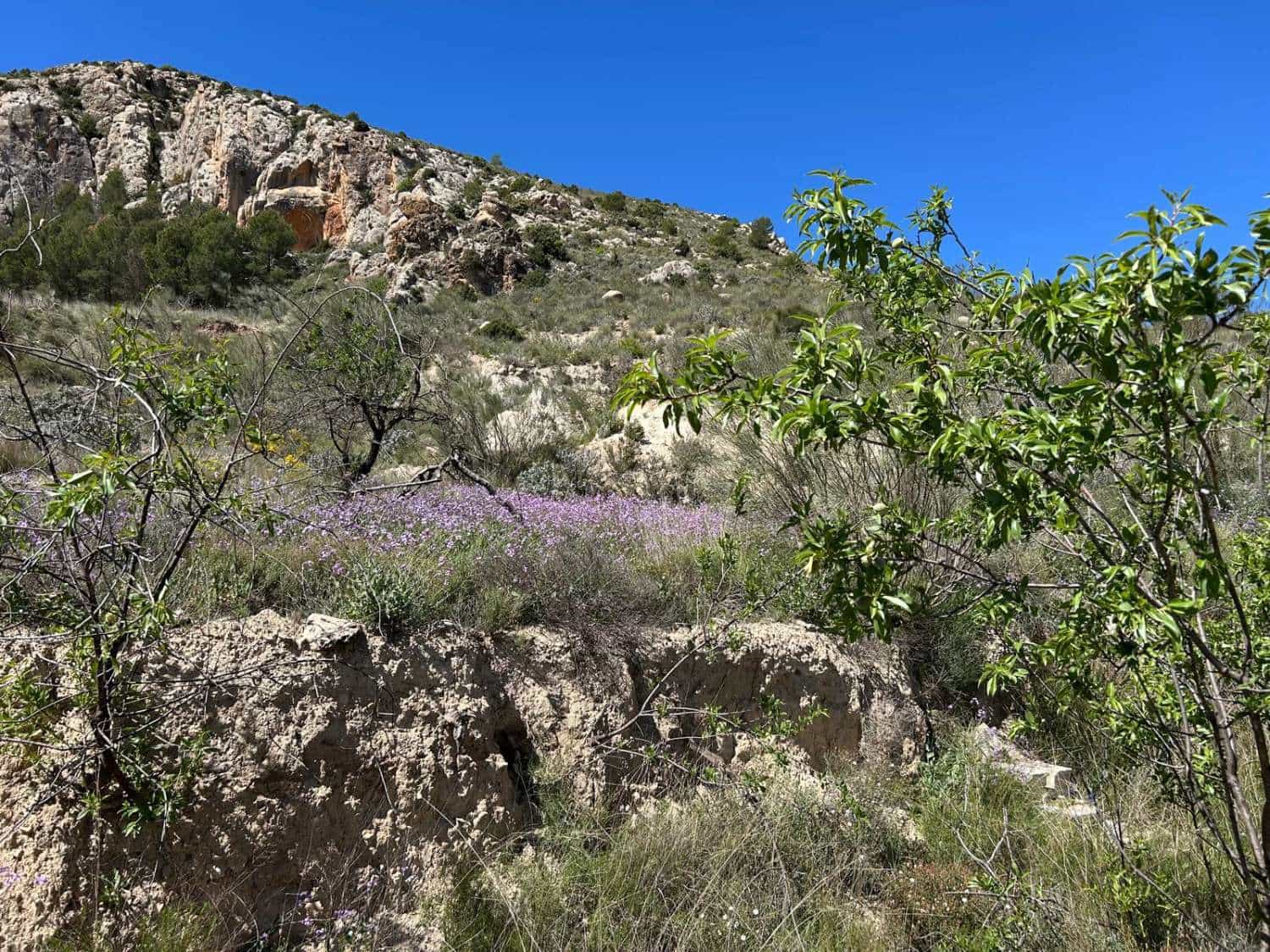 4 sovrum Villa till salu i Velez-Blanco - 199 950 € (Ref: 9798752)