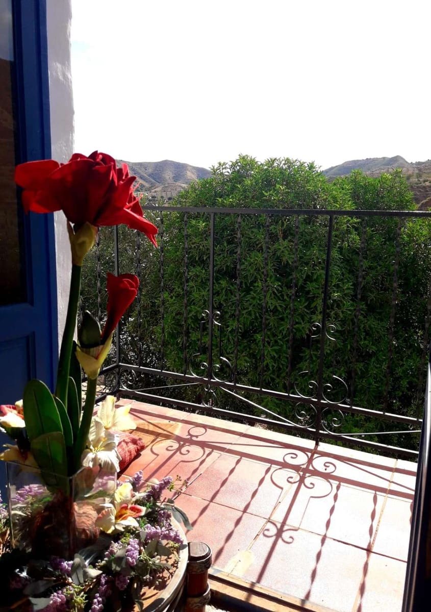 Chalet de 7 habitaciones en Cantoria en venta con piscina - 299.995 € (Ref: 9798753)