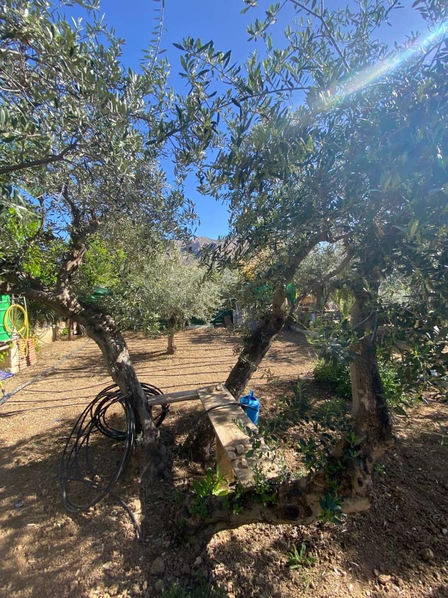 2 quarto Casa em Banda para venda em Velez-Blanco - 134 000 € (Ref: 9806163)