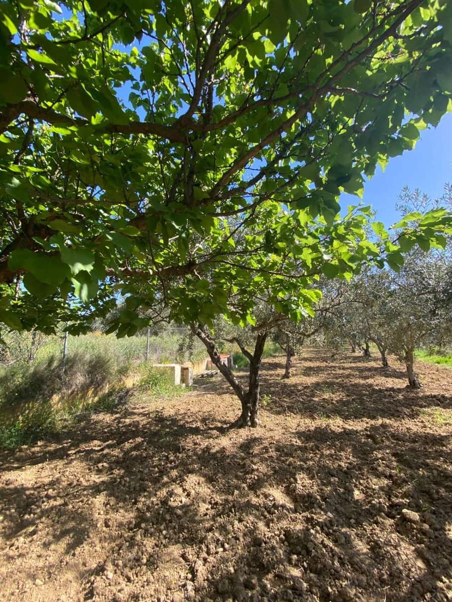 2 quarto Casa em Banda para venda em Velez-Blanco - 134 000 € (Ref: 9806163)