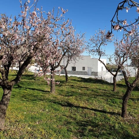 3 sovrum Villa till salu i Oria - 198 950 € (Ref: 9806165)