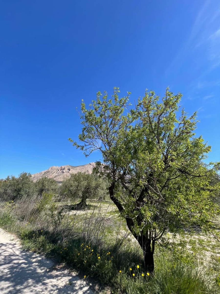 Casa de 2 habitaciones en Vélez-Blanco en venta - 110.000 € (Ref: 9806166)