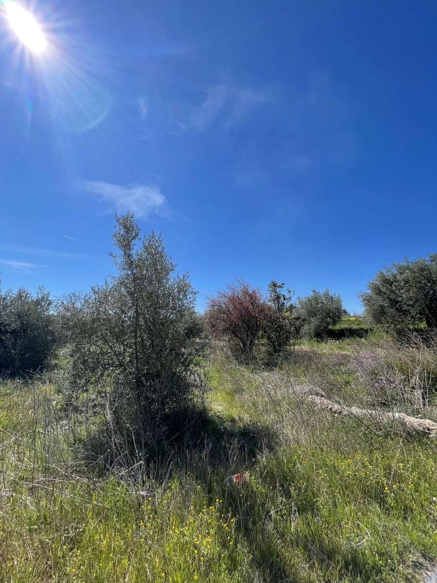 Casa de 2 habitaciones en Vélez-Blanco en venta - 110.000 € (Ref: 9806166)