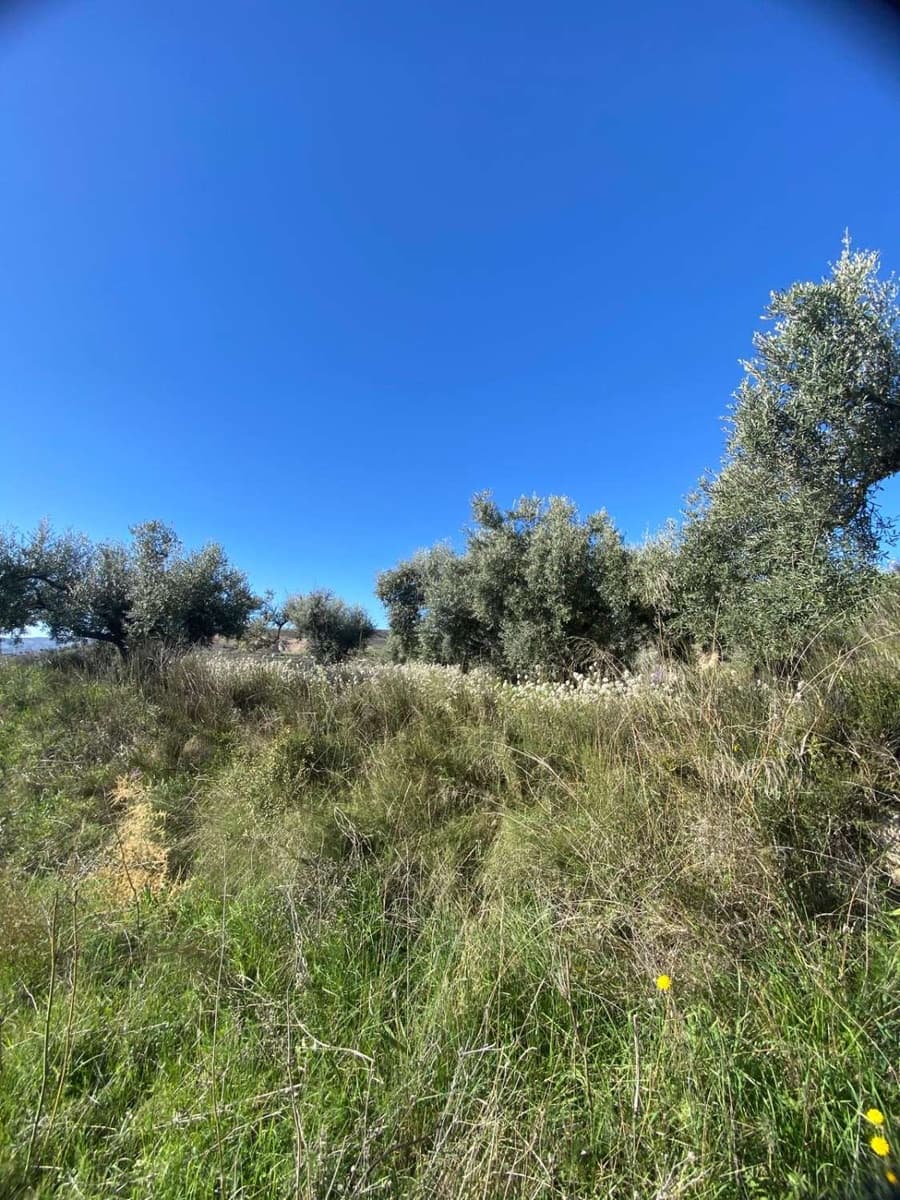 Undeveloped Land for sale in Velez-Blanco - € 9,500 (Ref: 9926807)