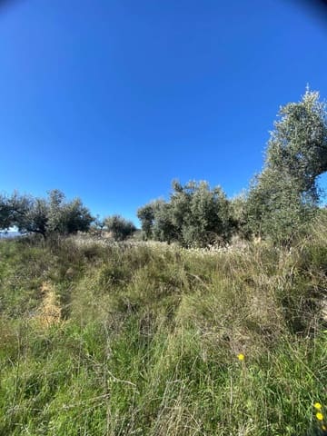 Terre non Aménagée à vendre à Vélez-Blanco - 9 500 € (Ref: 9926807)