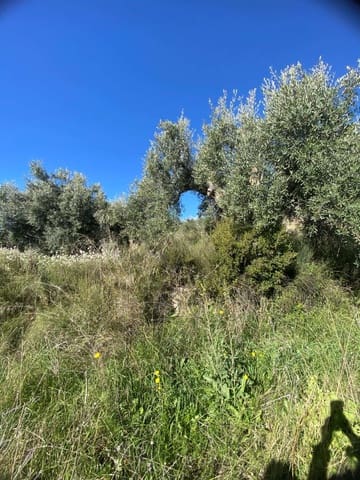 Terre non Aménagée à vendre à Vélez-Blanco - 9 500 € (Ref: 9926807)