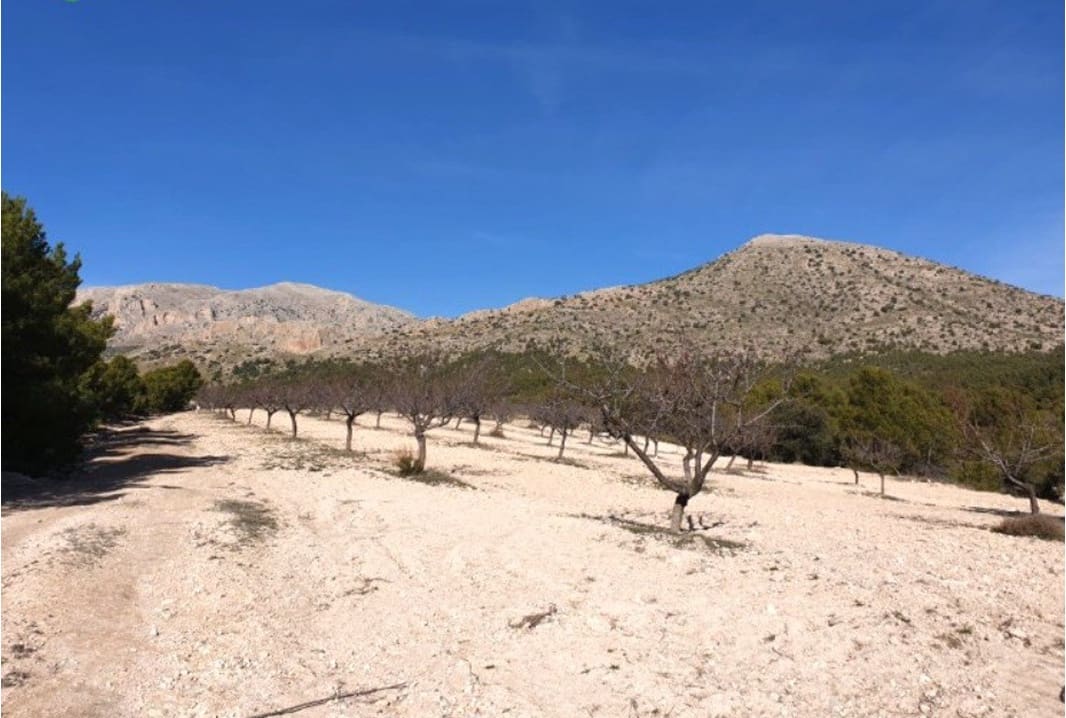 Finca/Country House for sale in Chirivel - € 1,165,000 (Ref: 9926809)