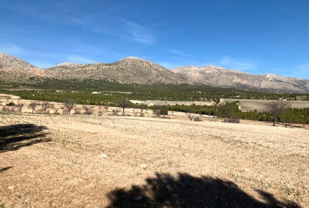 Finca/Country House for sale in Chirivel - € 1,165,000 (Ref: 9926809)