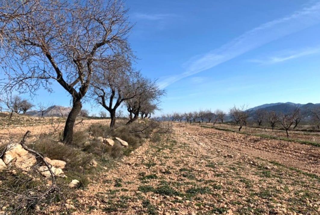 Finca/Country House for sale in Chirivel - € 1,165,000 (Ref: 9926809)