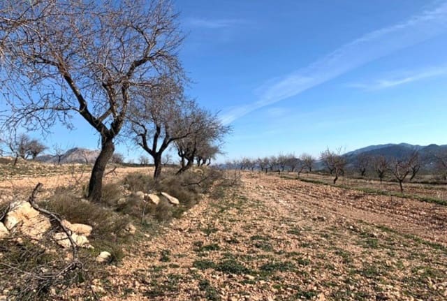Finca/Landehus til salg i Chirivel - € 1.165.000 (Ref: 9926809)