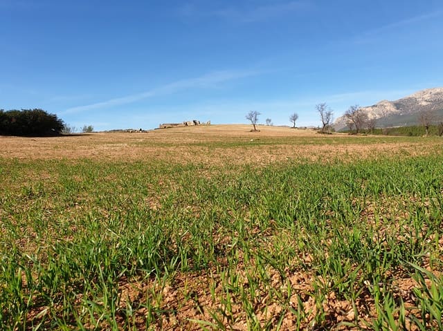 Finca/Landehus til salg i Chirivel - € 1.165.000 (Ref: 9926809)