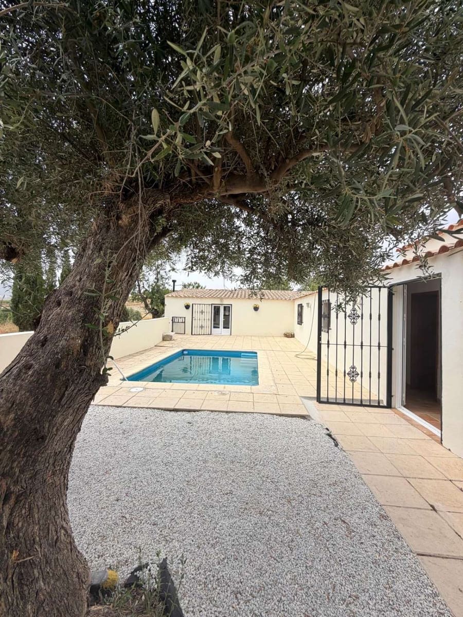 7 bedroom Villa for sale in Velez-Blanco with pool - € 499,950 (Ref: 9966157)