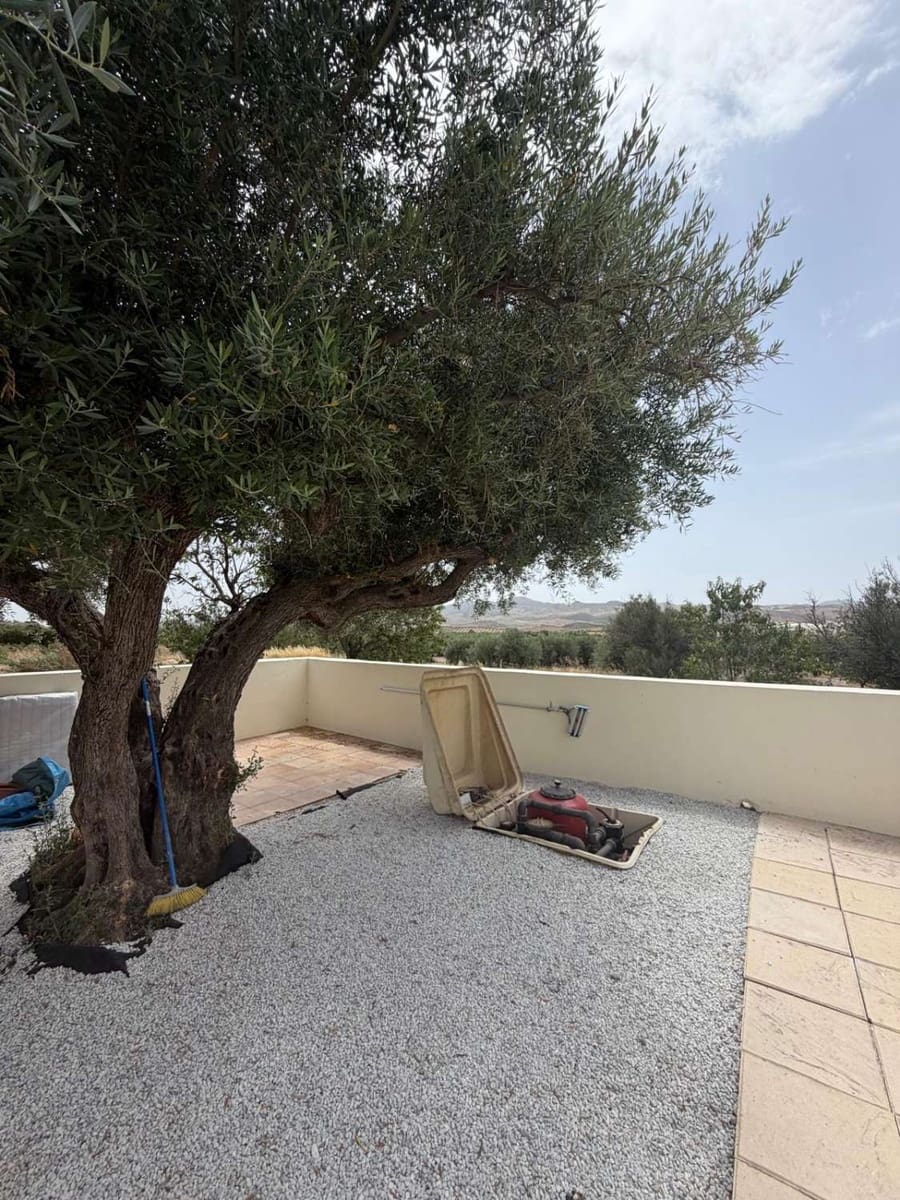 7 bedroom Villa for sale in Velez-Blanco with pool - € 499,950 (Ref: 9966157)