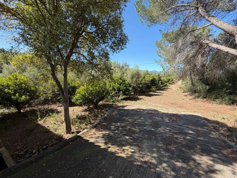 3 sovrum Finca/Hus på landet till salu i Canals med pool - 170 000 € (Ref: 10008799)