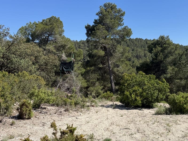2 bedroom Finca/Country House for sale in La Torre de les Macanes with garage - € 675,000 (Ref: 10008810)