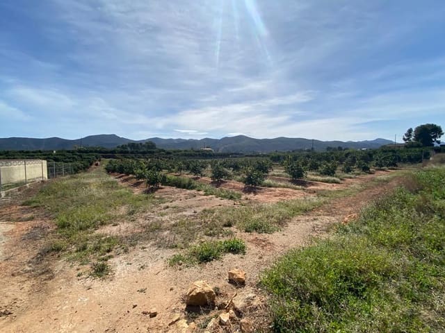 Undeveloped Land for sale in Canals - € 25,000 (Ref: 7708084)