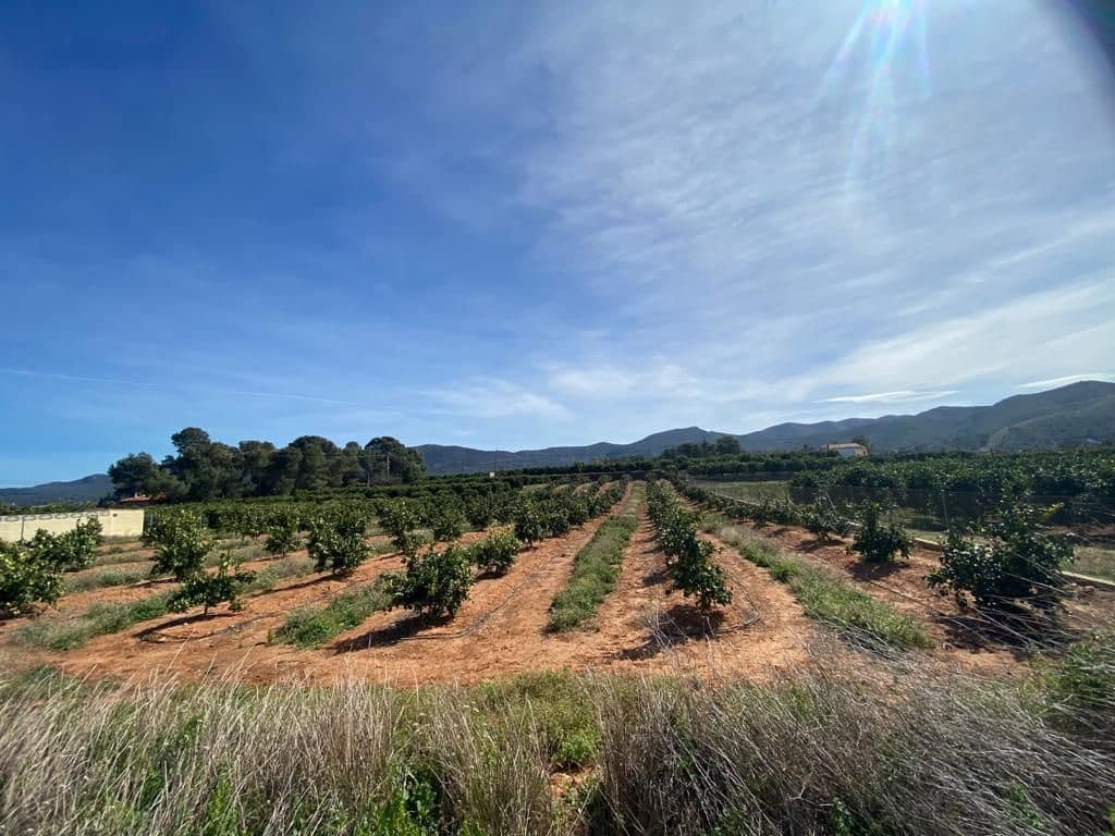 Ubebygd land til salgs i Canals - € 25 000 (Ref: 7708084)