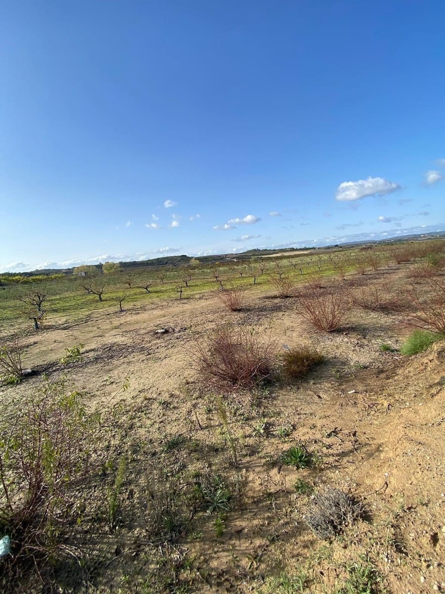 Mark till salu i Rugat - 26 000 € (Ref: 8698146)