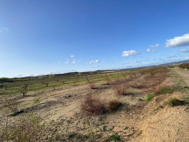 Ubebygd land til salgs i Rugat - € 26 000 (Ref: 8698146)