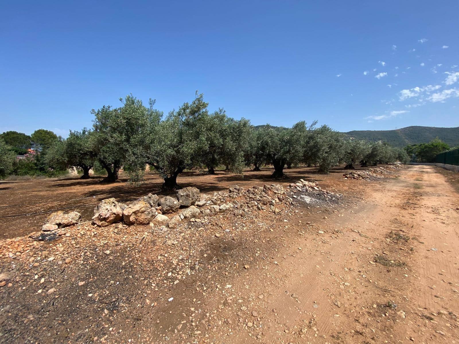 Finca/Landehus til salg i Canals - € 42.000 (Ref: 9149222)